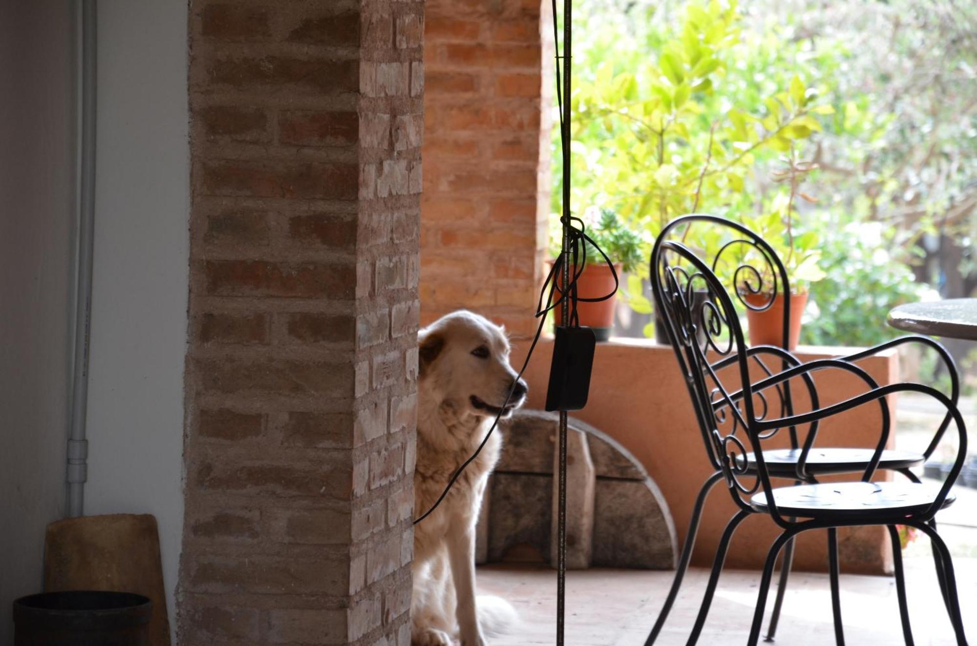 Borgo Piazza Bed & Breakfast Catanzaro Ruang foto