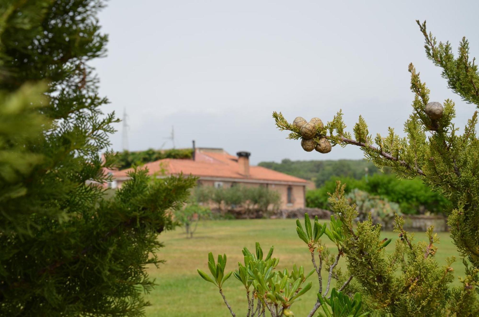 Borgo Piazza Bed & Breakfast Catanzaro Ruang foto