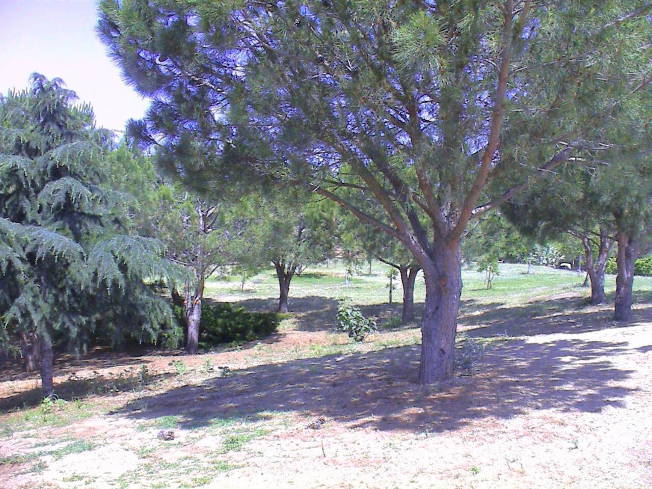 Borgo Piazza Bed & Breakfast Catanzaro Bagian luar foto